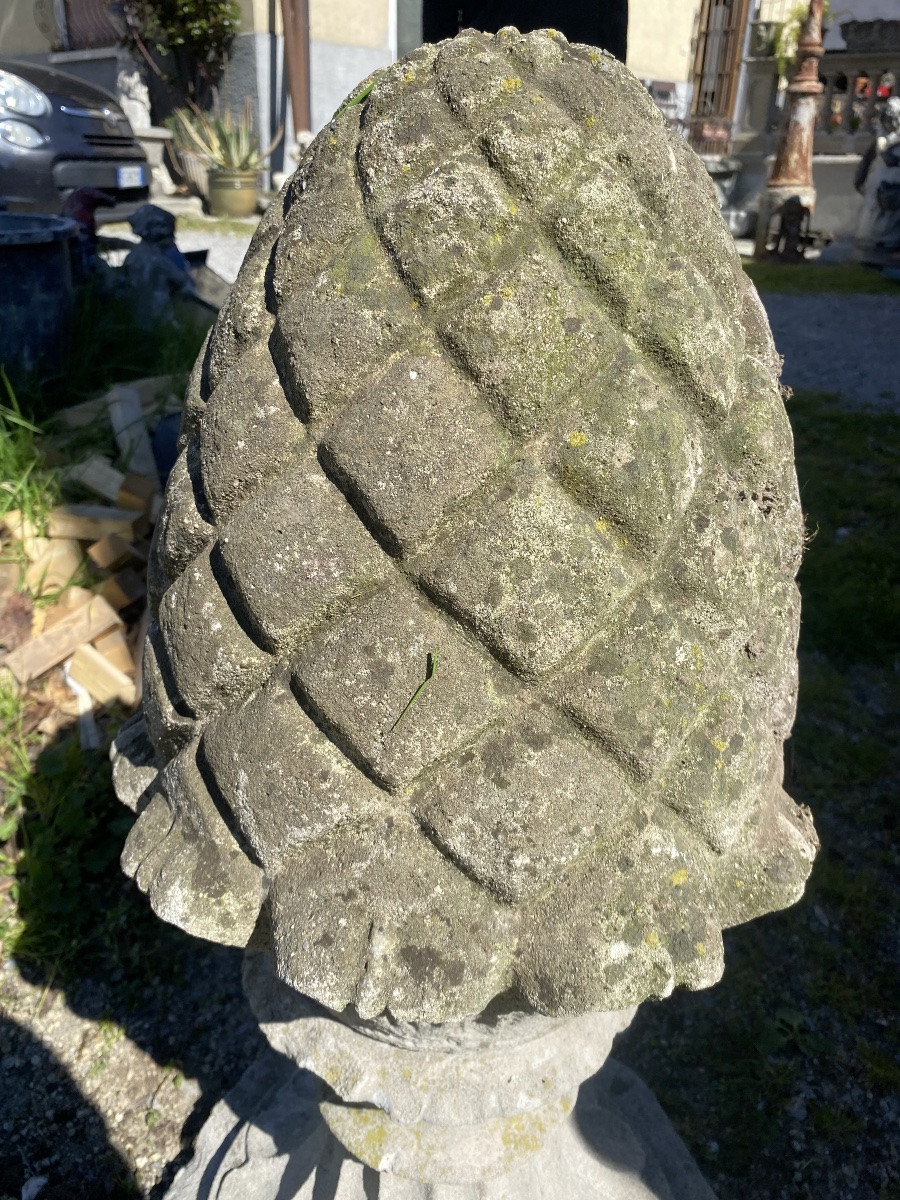 paire de pommes de pin du début des années 1900-photo-2