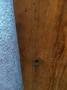1399820-alb-66e2fbb5ddade.jpg