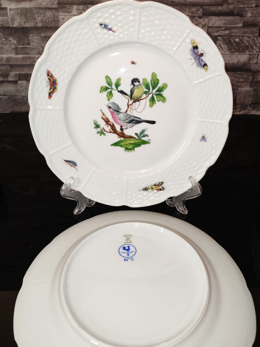 Raynaud Limoges Meissen Birds 56-piece Dinner Service -photo-5