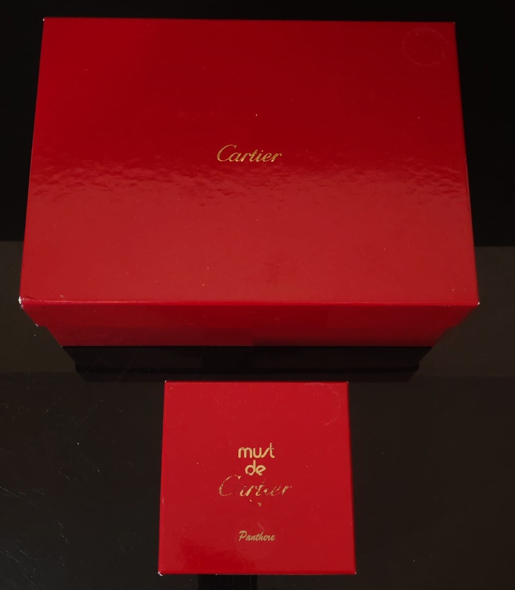 CARTIER ET MUST CARTIER ARGENT -photo-2