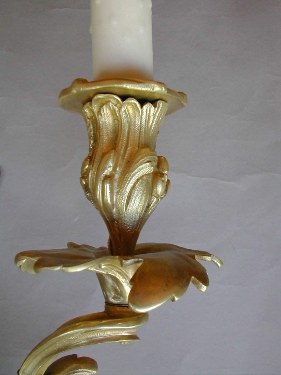 Large And Exceptional Pair Of Louis XV Style Sconces-photo-2