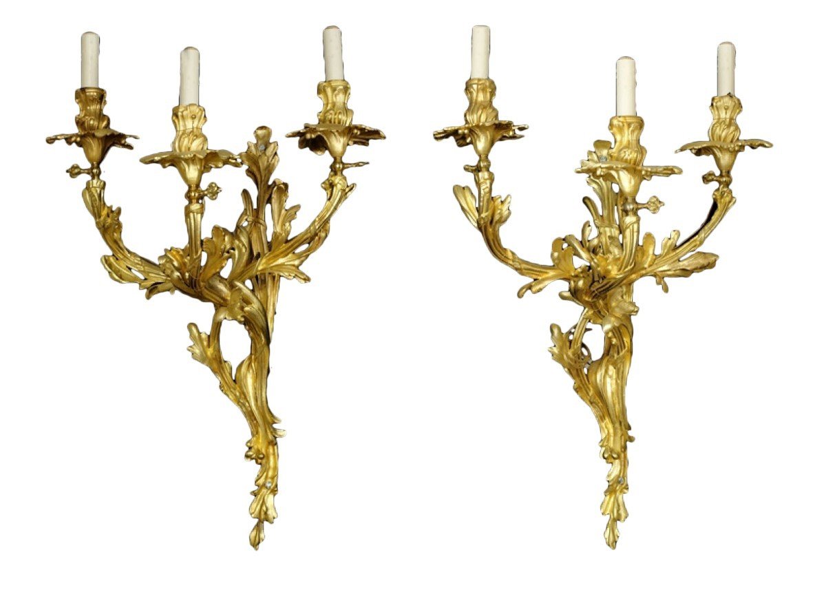 Large And Exceptional Pair Of Louis XV Style Sconces