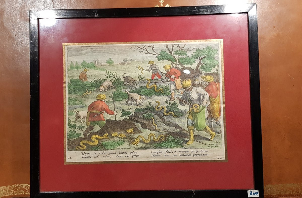 Hunting Engraving: The Hunt For Vipers-photo-4