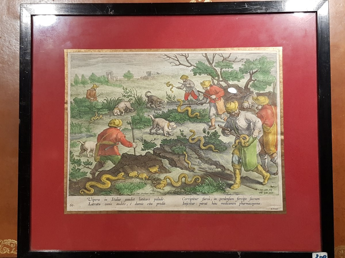 Hunting Engraving: The Hunt For Vipers-photo-4