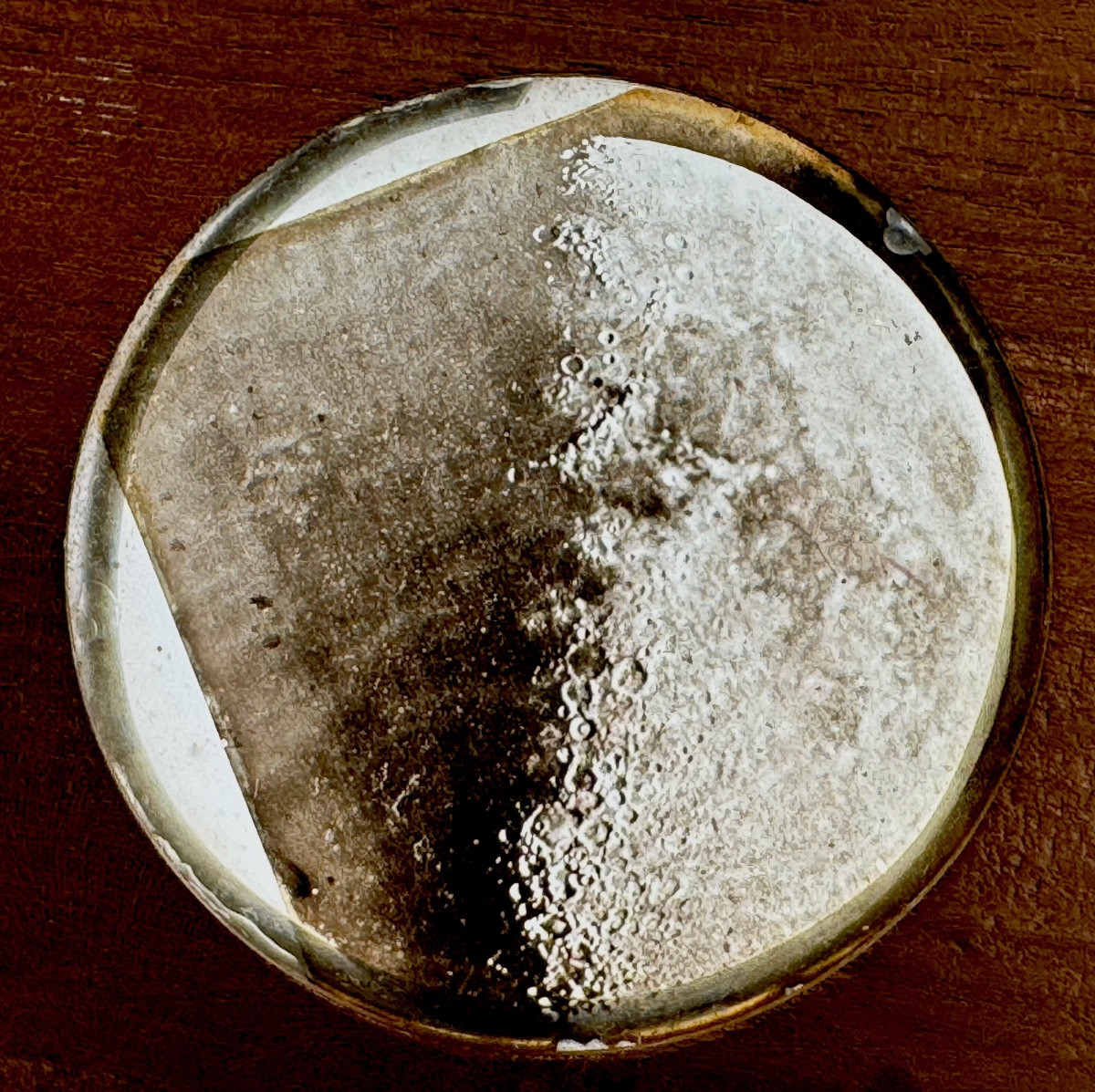 Astronomy, Gibbous Moon, Magic Lantern Plate Circa 1880 Photograph