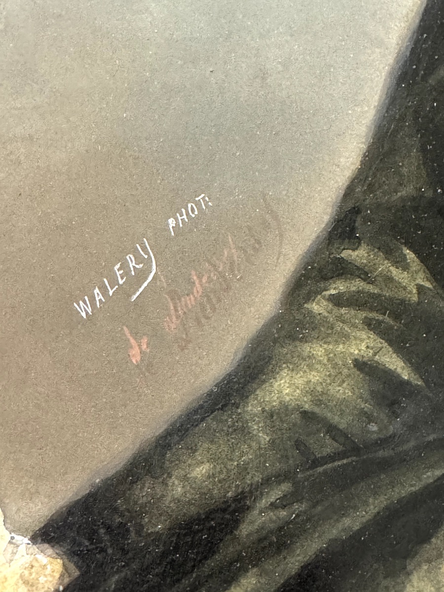 Post-mortem Portrait Enhanced By Walery Circa 1860, 19th-century Photograph, Painted Albumen Print-photo-4