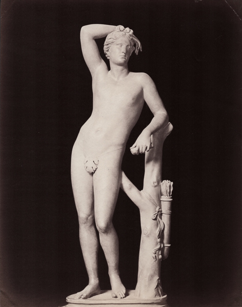 Giacomo Brogi, "apollo," Uffizi Gallery, Florence, Circa 1880. Albumen Print.