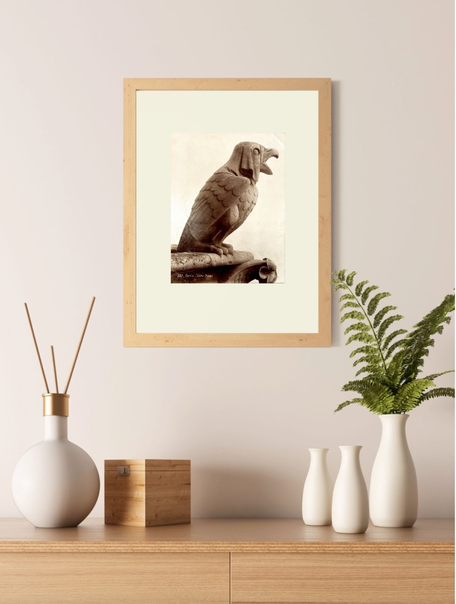 Léopold MERCIER, Chimère de Notre-Dame de Paris c.1890 Tirage albuminé d'époque-photo-3