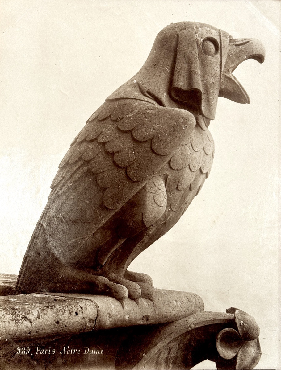 Léopold MERCIER, Chimère de Notre-Dame de Paris c.1890 Tirage albuminé d'époque