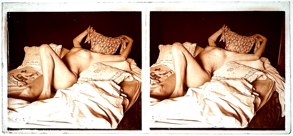 Positive Glass Plate, Stereoscopic Nude -photo-2