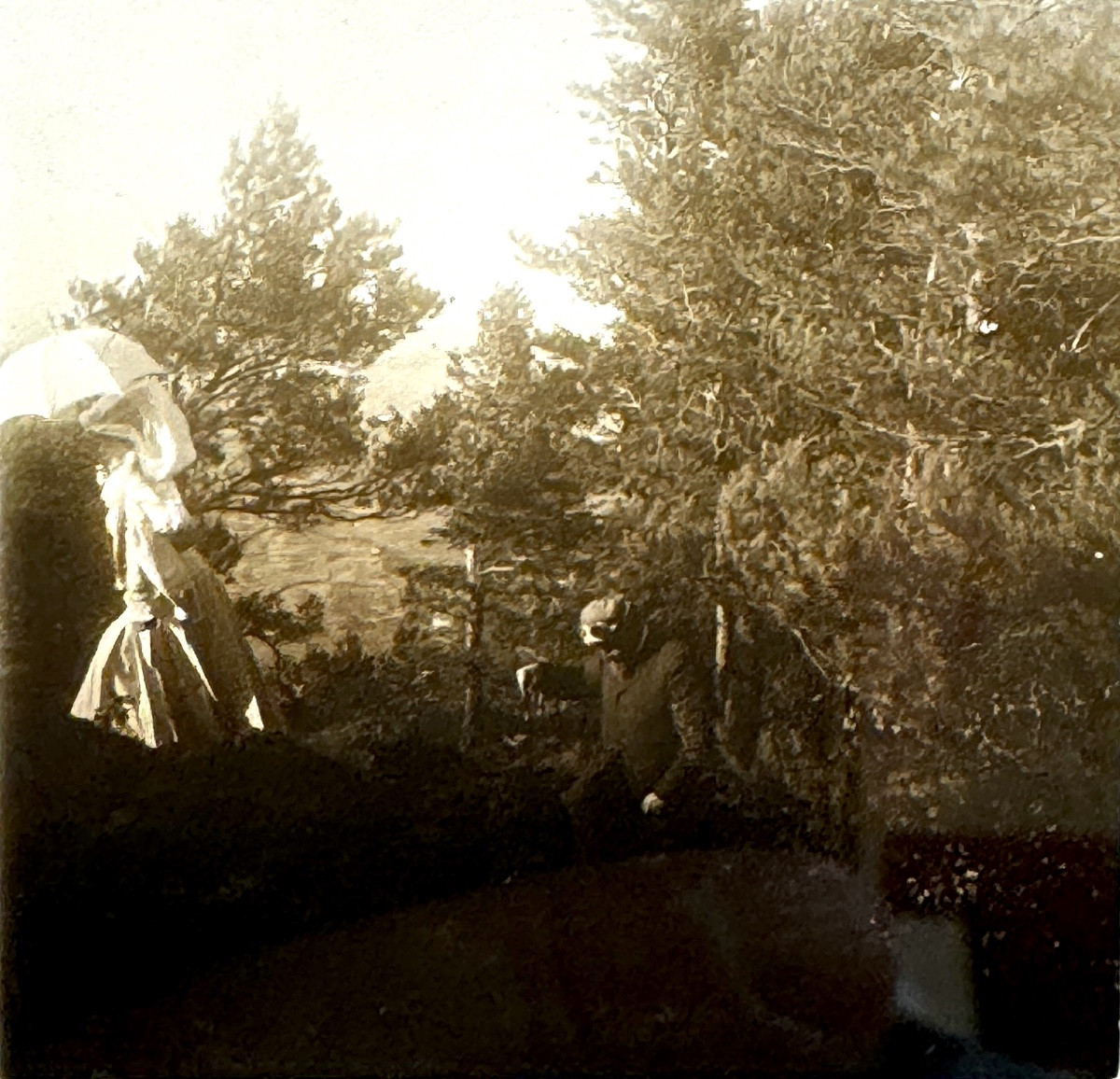 Stereoscopic Viewer In Burr Wood Vintage Photography Circa 1890-photo-4