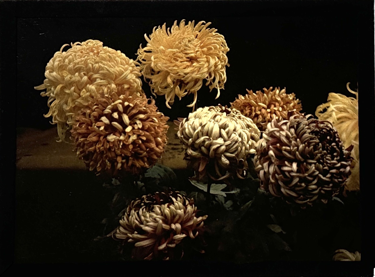 Pupitre de retouches LUMINOR et autochrome photographie Vintage -photo-2
