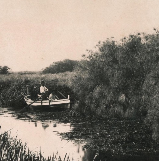 Giorgio SOMMER (1834-1914), Le fleuve Anapo et le papyrus, Syracuse circa 1880 photographie-photo-3