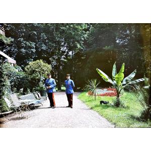 Autochrome LUMIERE & FILS, "Militaires au jardin" circa 1915 photographie sur verre Vintage