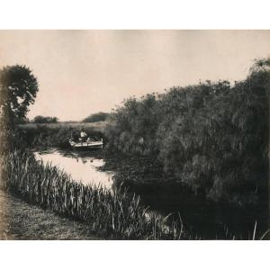 Giorgio Sommer (1834–1914), The Anapo River And The Papyrus, Syracuse, Circa 1880, Photograph