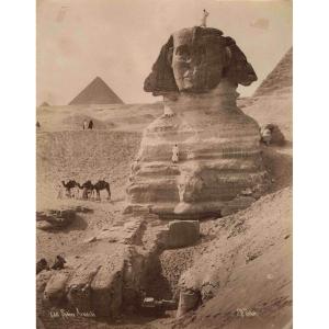 Pascal Sebah (1823–1886) The Sphinx, Egypt, C. 1880 Albumen Print