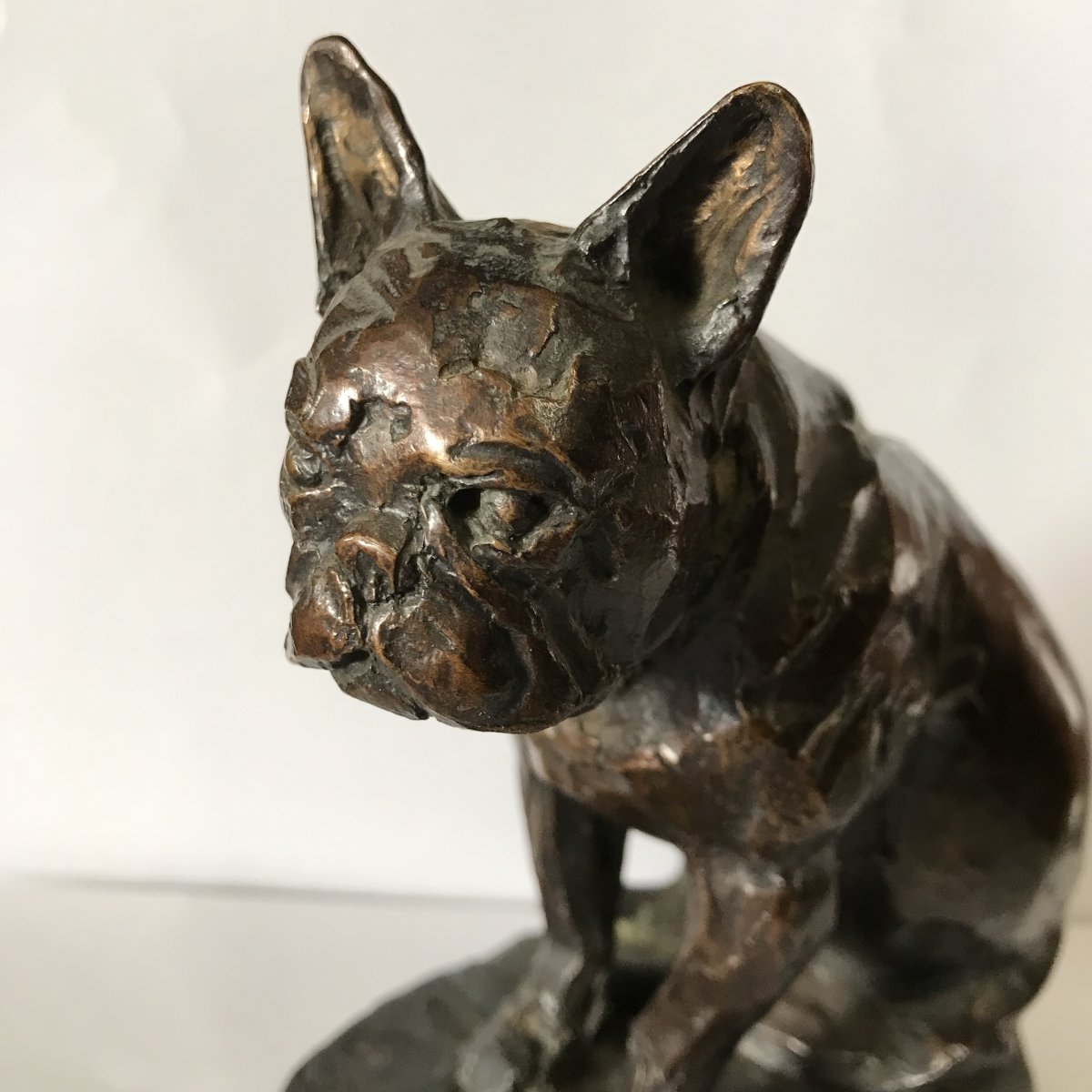 Animal Bronze By Edouard Navellier (1865–1944): *charlot The Bulldog*, Signed, No. 2/8-photo-2