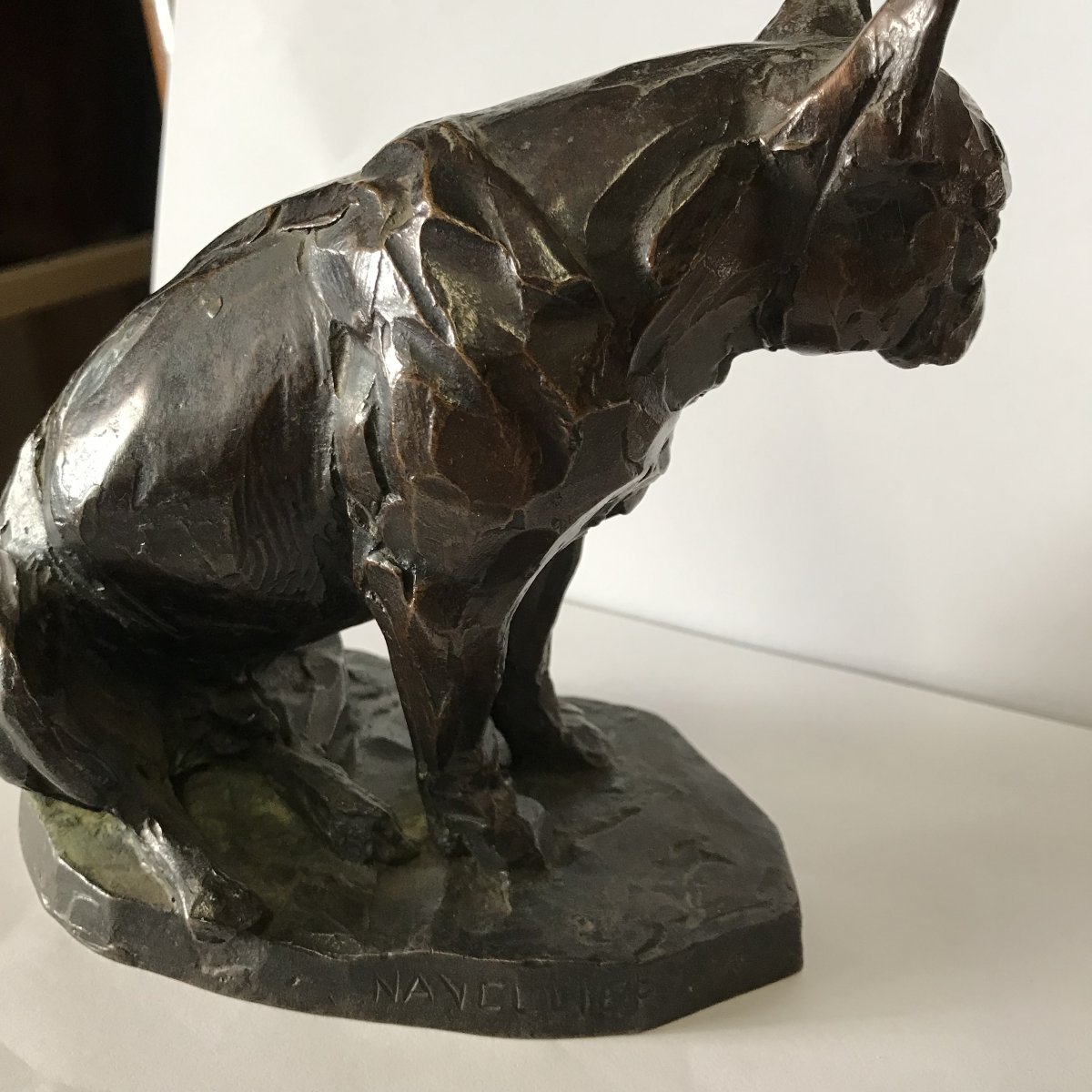 Animal Bronze By Edouard Navellier (1865–1944): *charlot The Bulldog*, Signed, No. 2/8-photo-3