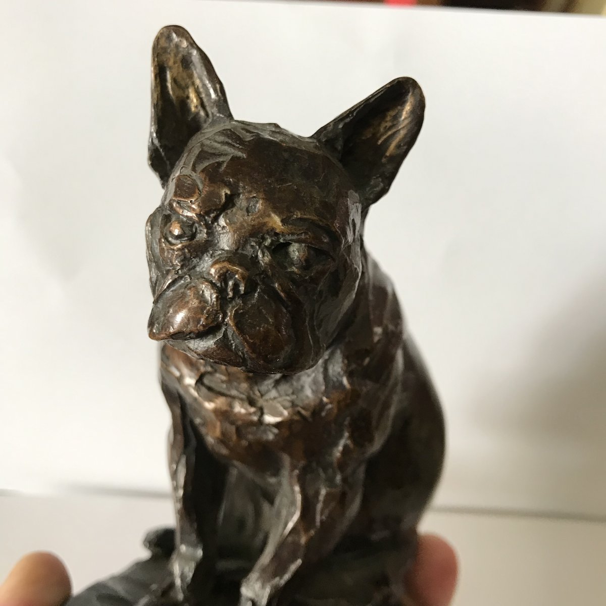 Animal Bronze By Edouard Navellier (1865–1944): *charlot The Bulldog*, Signed, No. 2/8-photo-5