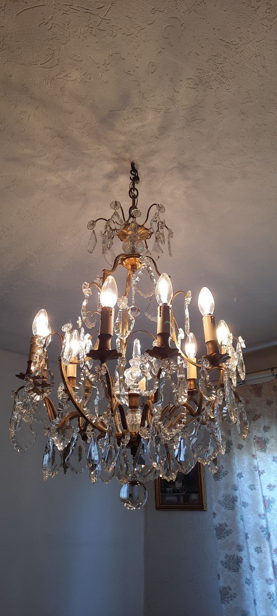 New Cage Chandelier Lights 19th Century-photo-4
