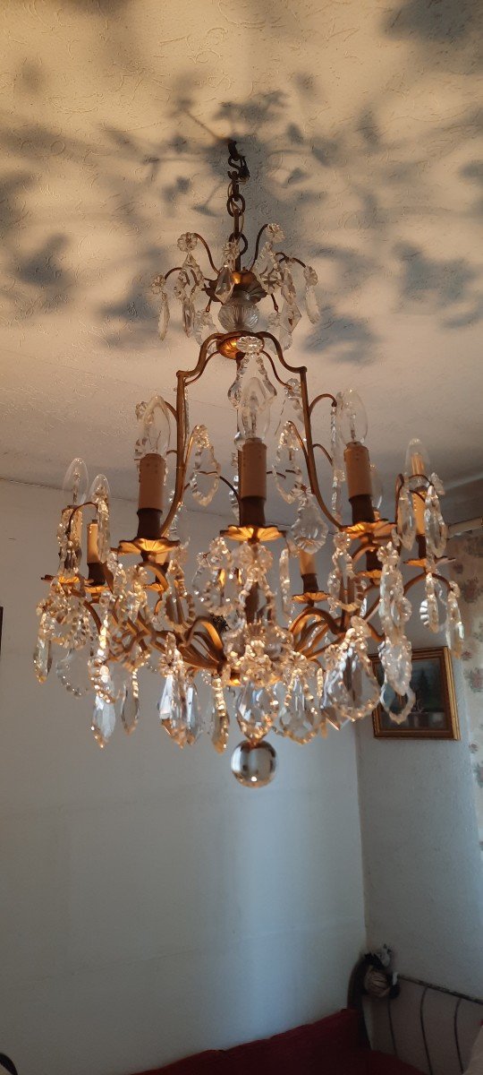New Cage Chandelier Lights 19th Century-photo-1