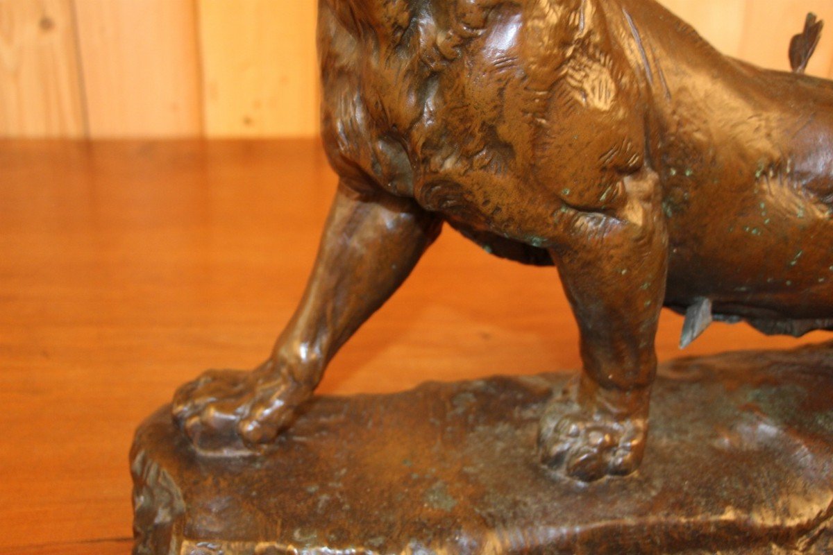Grande Lionne En Bronze Signé Valton -photo-4