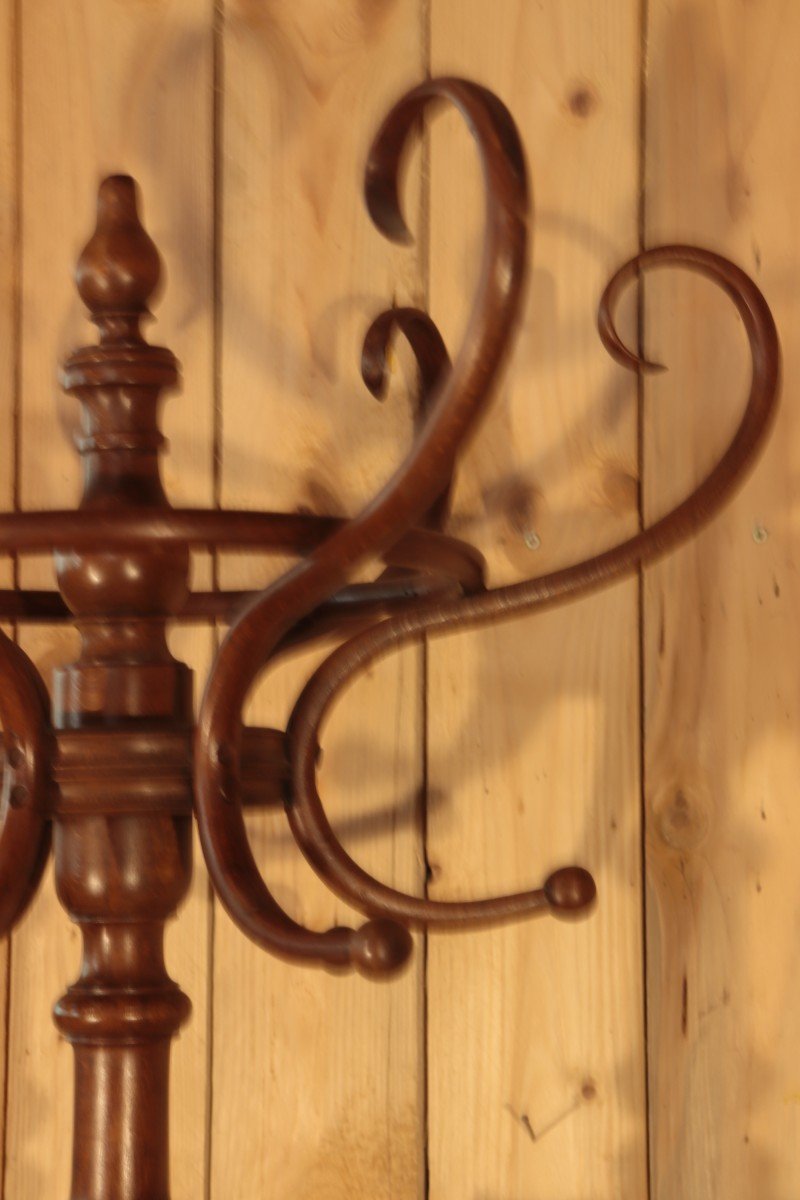 Porte Manteau Perroquet par Fischel Style Thonet-photo-4