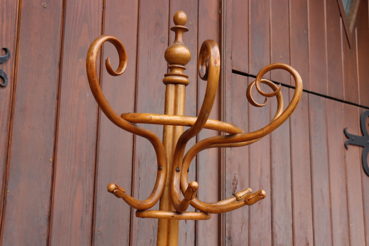  Jacob & Joseph Kohn Semi-spherical Coat Rack In Bentwood-photo-2