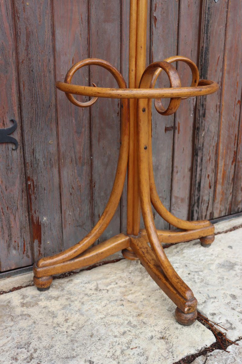  Jacob & Joseph Kohn Semi-spherical Coat Rack In Bentwood-photo-3