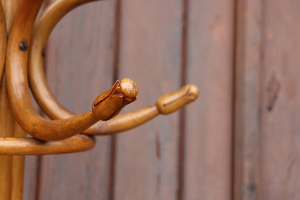  Jacob & Joseph Kohn Semi-spherical Coat Rack In Bentwood-photo-1