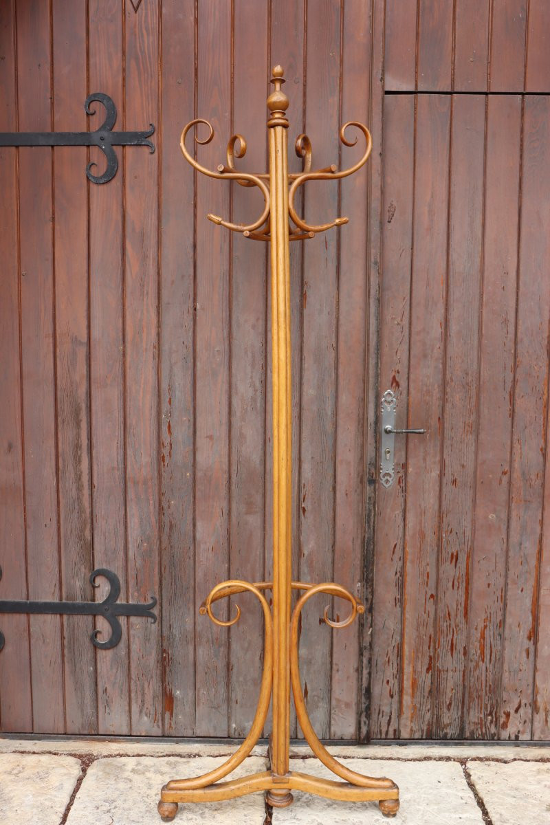  Jacob & Joseph Kohn Semi-spherical Coat Rack In Bentwood-photo-5