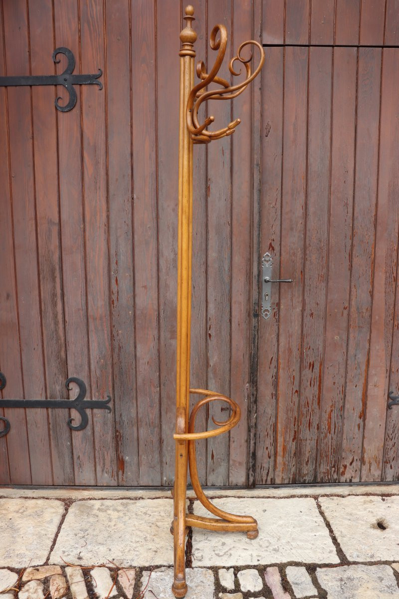  Jacob & Joseph Kohn Semi-spherical Coat Rack In Bentwood-photo-6