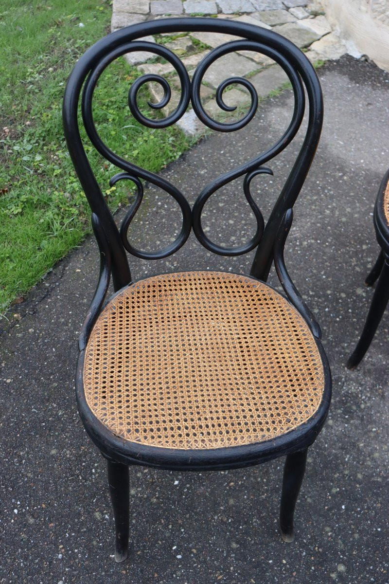série de huit chaises Thonet modèle n°4 dites "café Daum" 1880-photo-6