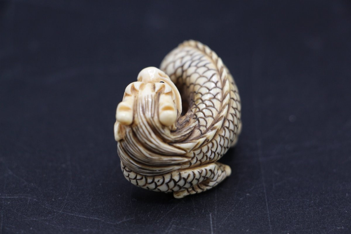 Carved Ivory Netsuke – Japan, Meiji Period (1868–1912), Dragon, Signed-photo-2