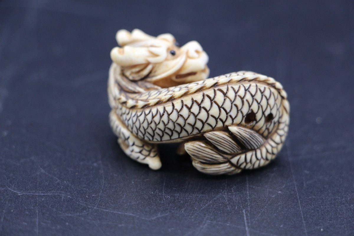 Carved Ivory Netsuke – Japan, Meiji Period (1868–1912), Dragon, Signed-photo-3