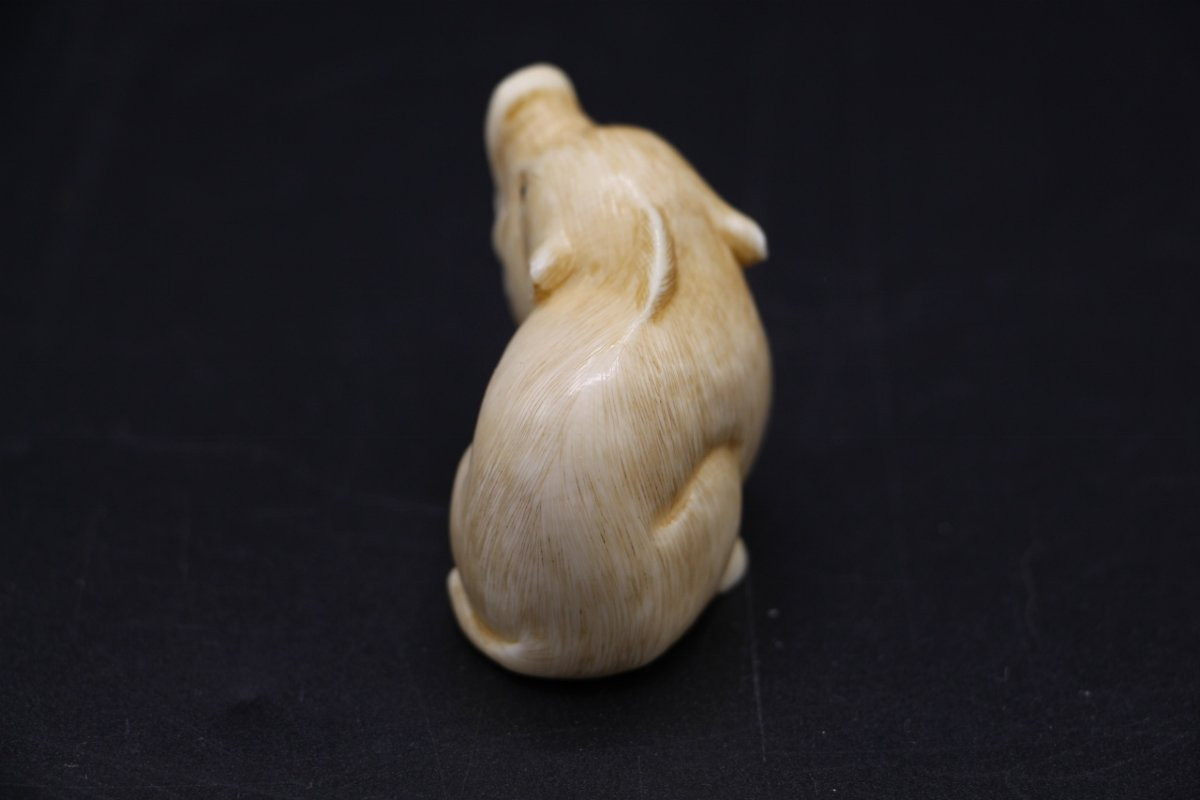 Carved Ivory Netsuke, Japan, Meiji Period (1868–1912), Crouching Boar, Signed-photo-2