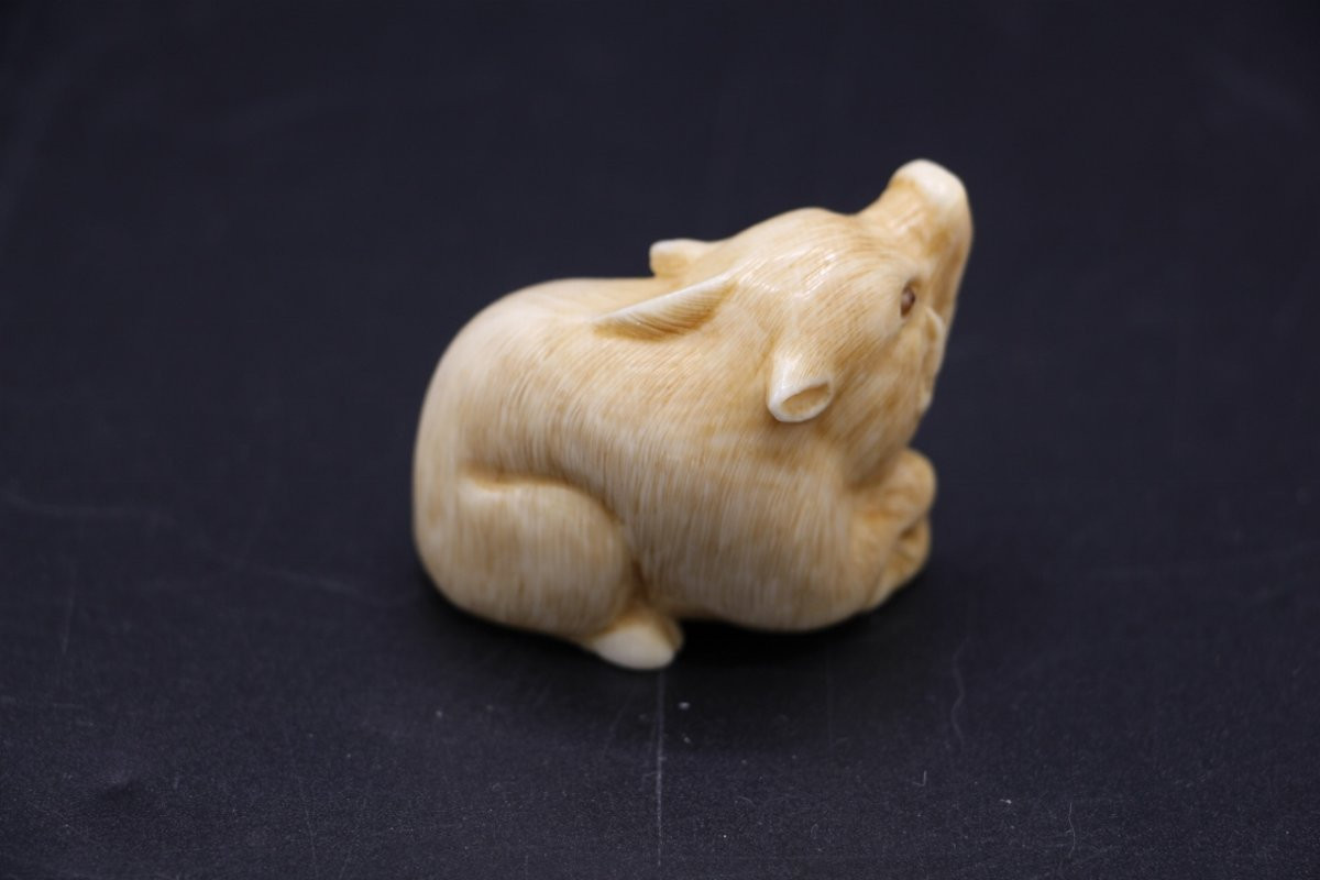 Carved Ivory Netsuke, Japan, Meiji Period (1868–1912), Crouching Boar, Signed-photo-3
