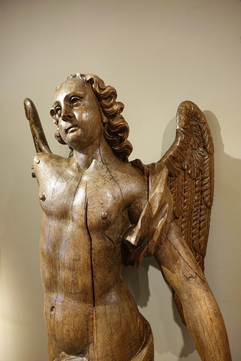 Très grand ange ailé en chêne, 17e Siècle-photo-3