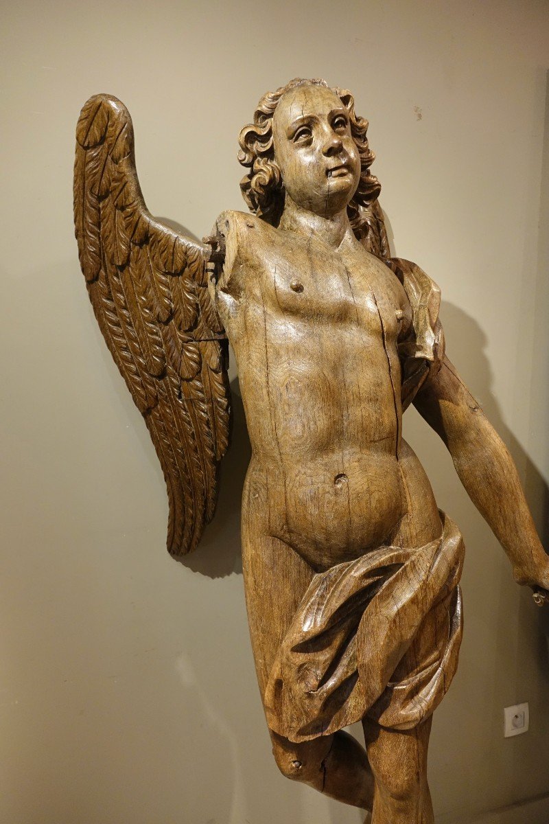 Très grand ange ailé en chêne, 17e Siècle-photo-4