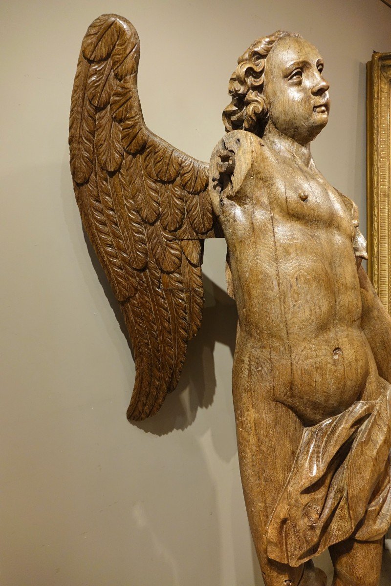 Très grand ange ailé en chêne, 17e Siècle-photo-2