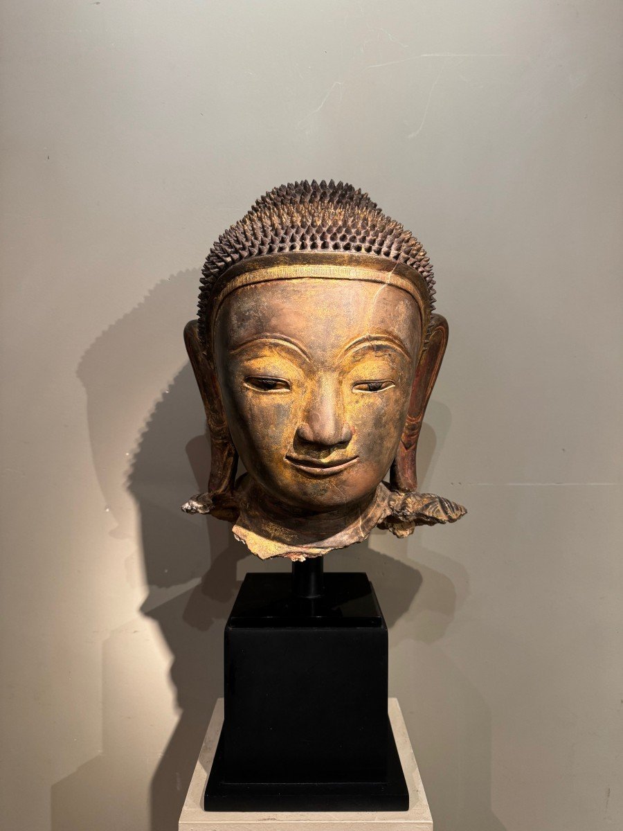 Large Buddha Head In Golden Terracotta, Burma, Shan States, Late 18th C.-photo-2