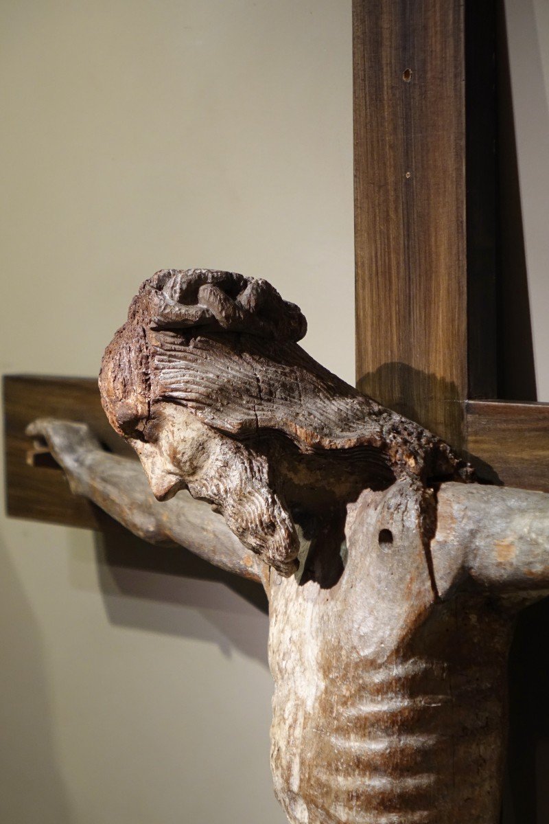 Large Christ In Oak Wood, Burgundy, 15th C.-photo-7