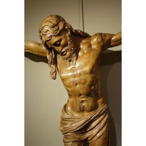 Grand Christ en bois de fruitier, France, 17e Ou 18e S.