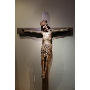 Grand Christ en bois de chêne, Bourgogne, 15e S.