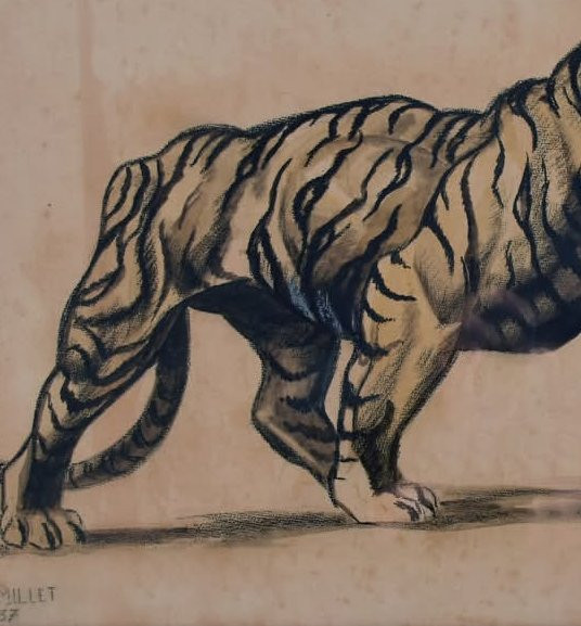 Art Deco, Early 20th Century, Pe Millet, Tiger, Charcoal And Gouache On Paper-photo-3