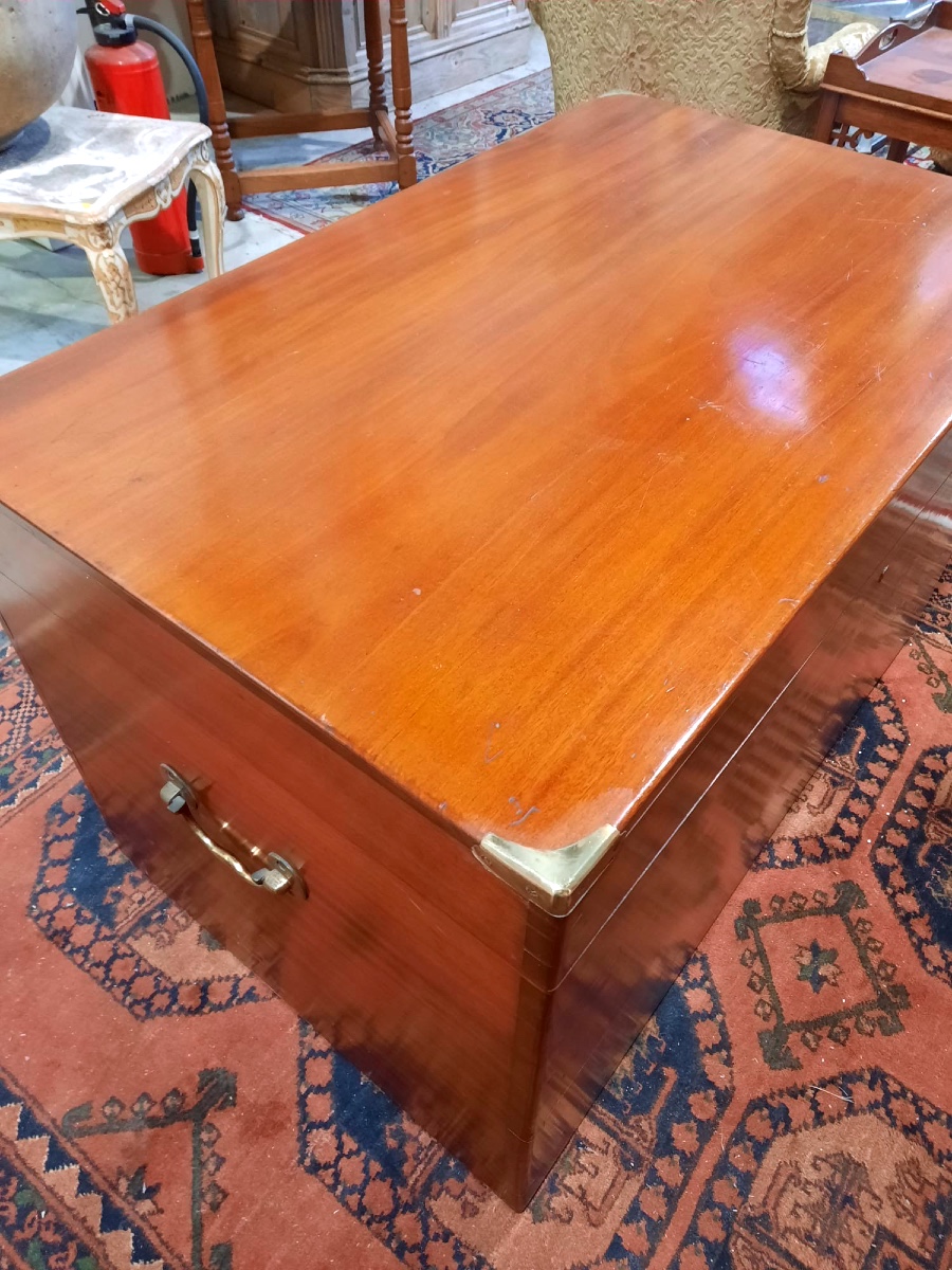 Large 19th Century Camphor Trunk In Perfect Condition-photo-2