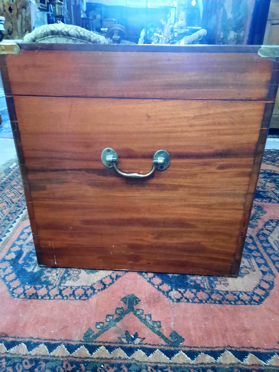 Large 19th Century Camphor Trunk In Perfect Condition-photo-3