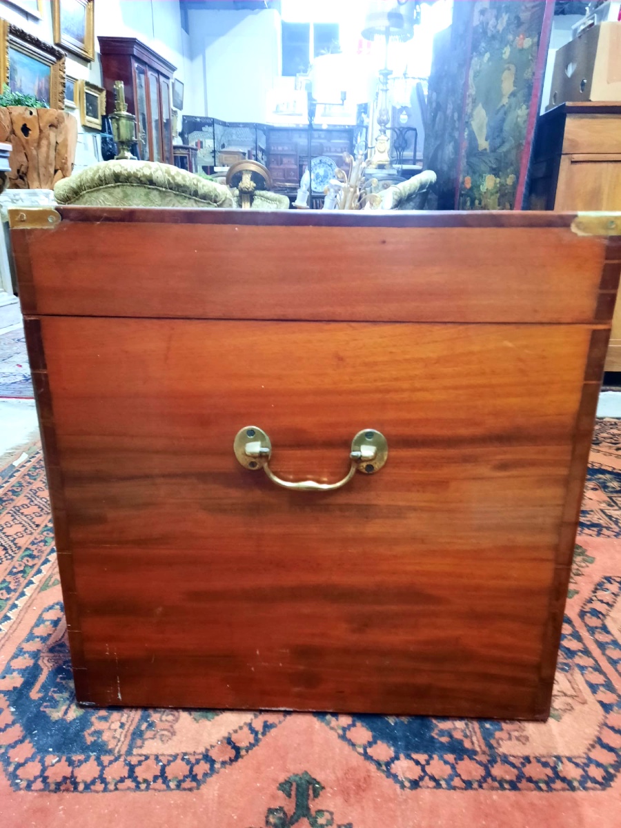 Large 19th Century Camphor Trunk In Perfect Condition-photo-2