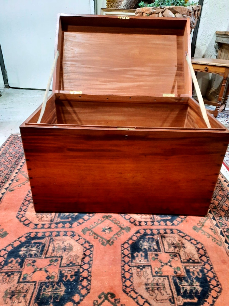 Large 19th Century Camphor Trunk In Perfect Condition-photo-3