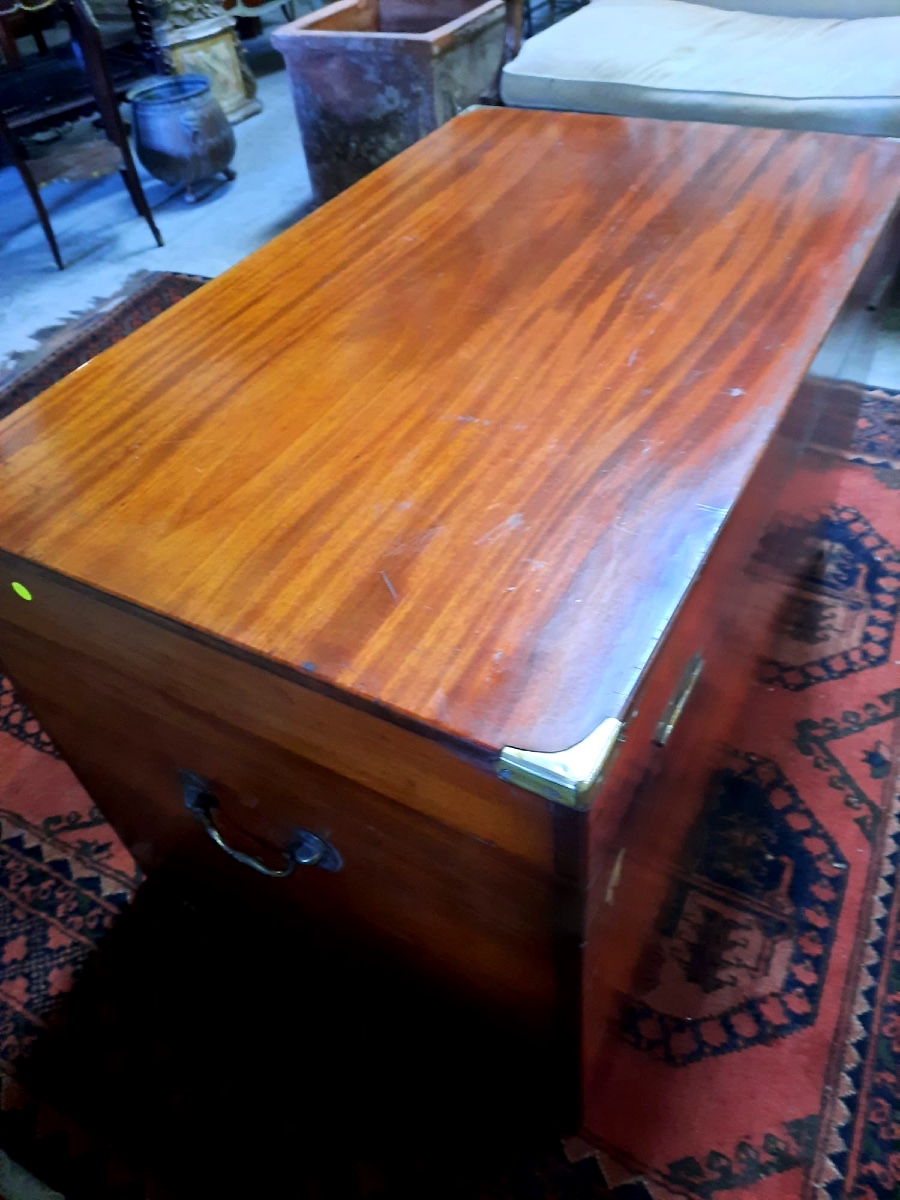 Large 19th Century Camphor Trunk In Perfect Condition